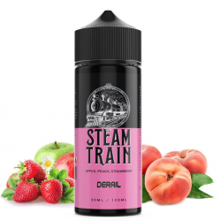 Steam Train Derail 120ml